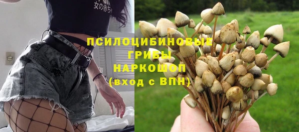 apvp Осинники
