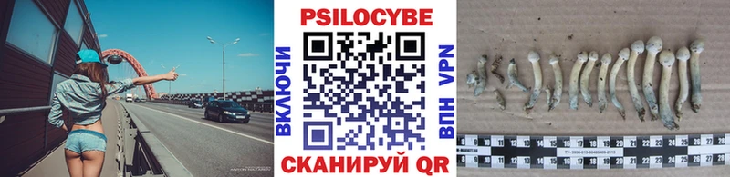 ссылка на мегу ссылки  Тара  Псилоцибиновые грибы прущие грибы 